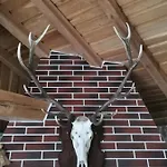 B&B Affordable With Bbq 5 Min Drive From Lucy 3*