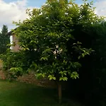 B&B Affordable With Bbq 5 Min Drive From Lucy