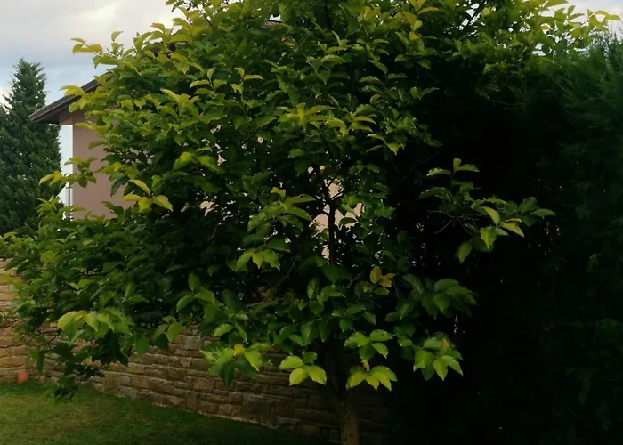 Bed & Breakfast Affordable With Bbq 5 Min Drive From Lusi