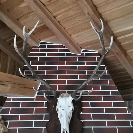 Panzió Affordable With Bbq 5 Min Drive From Lusi 3*